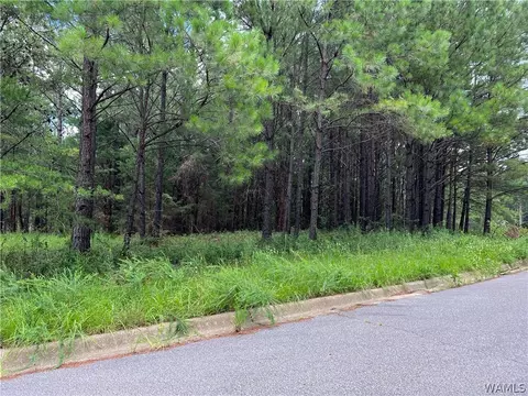 043 Crimson Ridge Cir, Brookwood, AL 35444