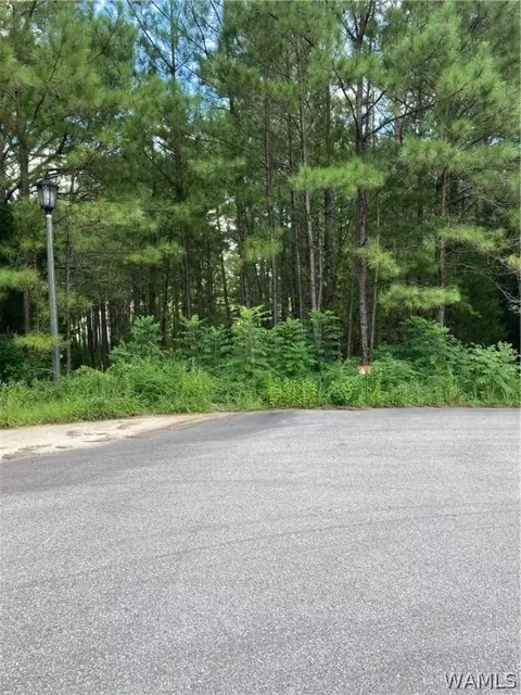 041 Crimson Ridge Cir, Brookwood, AL 35444