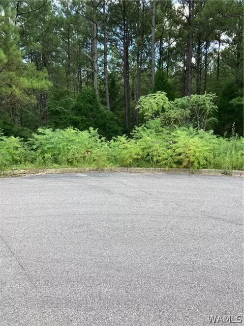 040 Crimson Ridge Cir, Brookwood, AL 35444