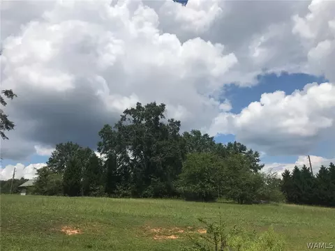 1107 Temple Ave, Fayette, AL 35555