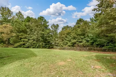 12417 Timber Hts, Ralph, AL 35480 photo 33