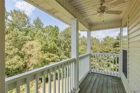 12417 Timber Hts, Ralph, AL 35480 photo 20