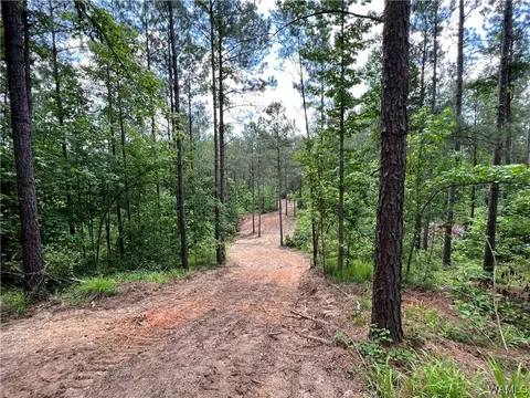 14304 Hargrove Lot Rd E #7, Cottondale, AL 35453