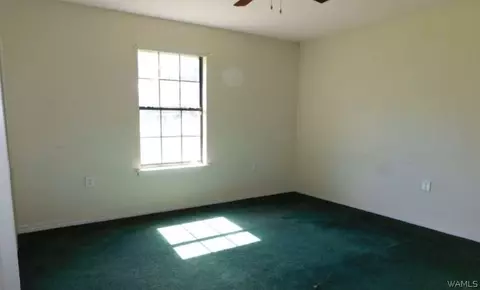 161 Loop Rd, Repton, AL 36475 photo 7