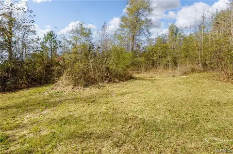 88 Estis Loop, Fayette, AL 35555 photo 22
