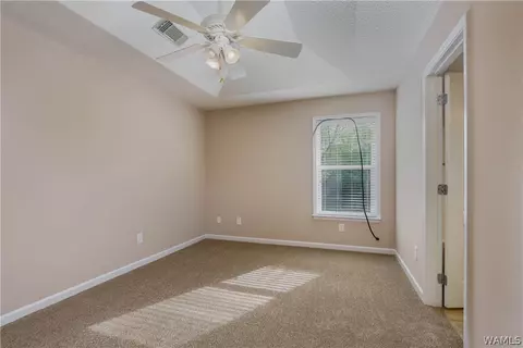 18336 Peyton Ln, Vance, AL 35490 photo 17
