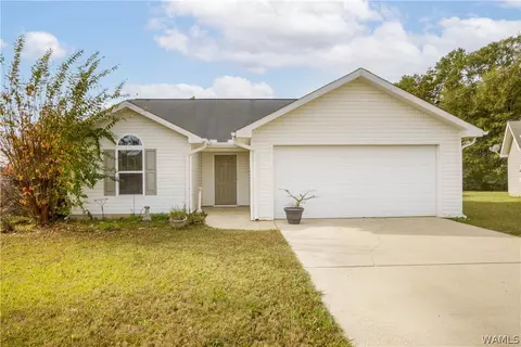 18336 Peyton Ln, Vance, AL 35490 photo 1