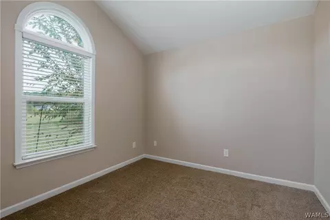 18336 Peyton Ln, Vance, AL 35490 photo 21