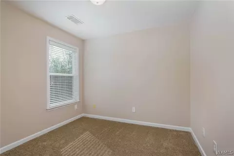 18336 Peyton Ln, Vance, AL 35490 photo 22