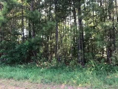 5104 Oak Way, Northport, AL 35473