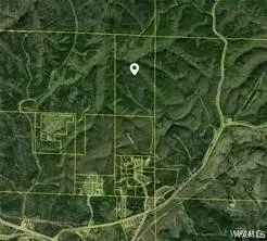 17048 Hannah Creek Rd, Brookwood, AL 35444