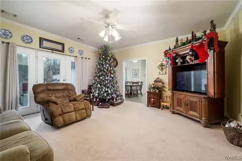 12451 Timber Lane Rd, Ralph, AL 35480 photo 10