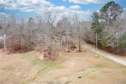 12451 Timber Lane Rd, Ralph, AL 35480 photo 28