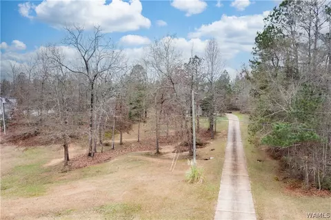 12451 Timber Lane Rd, Ralph, AL 35480 photo 3