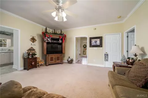 12451 Timber Lane Rd, Ralph, AL 35480 photo 11