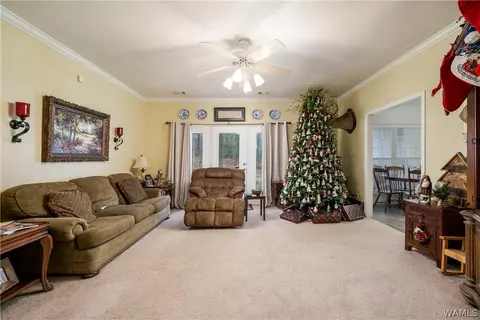 12451 Timber Lane Rd, Ralph, AL 35480 photo 9