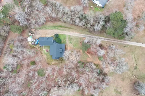 12451 Timber Lane Rd, Ralph, AL 35480 photo 26