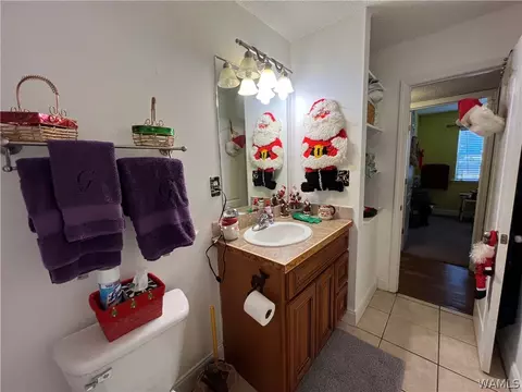 13036 Nora Dr, Vance, AL 35490 photo 17