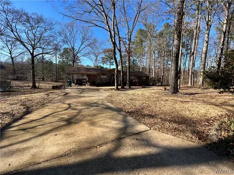 13036 Nora Dr, Vance, AL 35490 photo 20