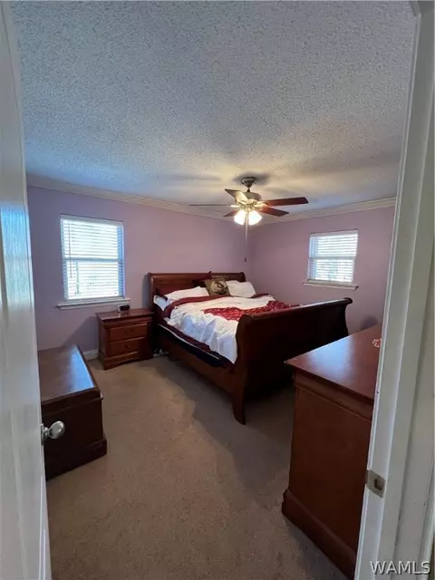 13036 Nora Dr, Vance, AL 35490 photo 11
