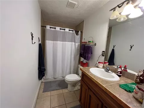 13036 Nora Dr, Vance, AL 35490 photo 16
