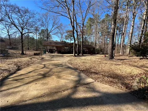 13036 Nora Dr, Vance, AL 35490 photo 25
