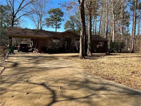13036 Nora Dr, Vance, AL 35490 photo 28