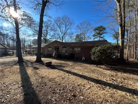 13036 Nora Dr, Vance, AL 35490 photo 26