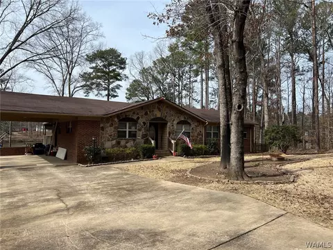 13036 Nora Dr, Vance, AL 35490 photo 2