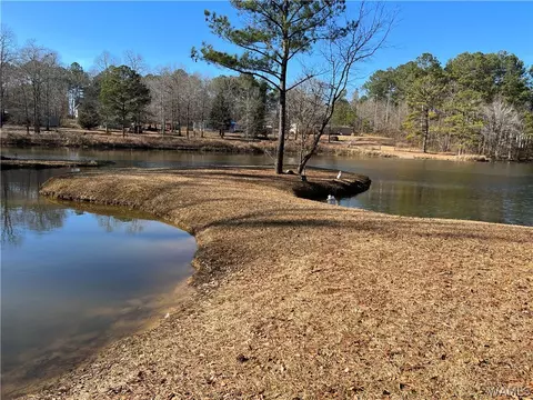 13036 Nora Dr, Vance, AL 35490 photo 22