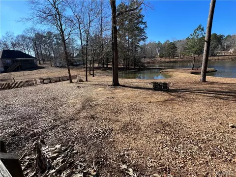 13036 Nora Dr, Vance, AL 35490 photo 23