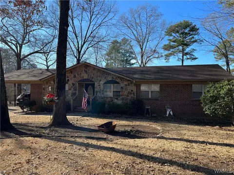 13036 Nora Dr, Vance, AL 35490 photo 1