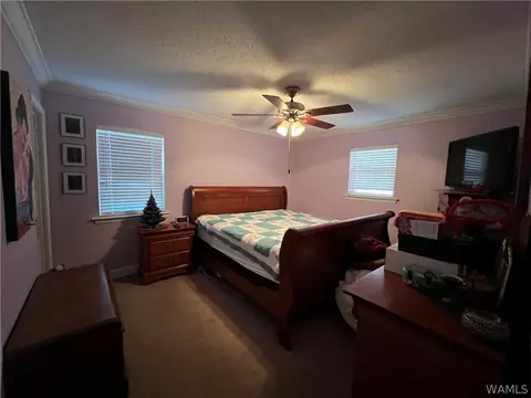 13036 Nora Dr, Vance, AL 35490 photo 12
