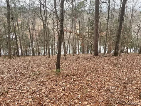 15028 Burnt Pines Rd, Northport, AL 35475