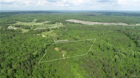 13207 Deason Camp Rd, Coker, AL 35452