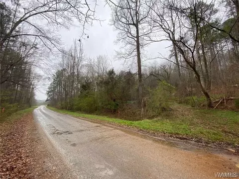 6777 Clary Hill Rd, Moundville, AL 35474