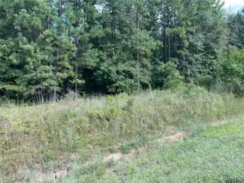 0 Hubbard St, Brent, AL 35034
