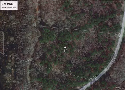 131 Black Warrior Blvd, Akron, AL 35441