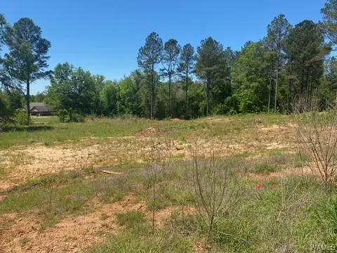 0 Oakridge Mnr, Vance, AL 35490