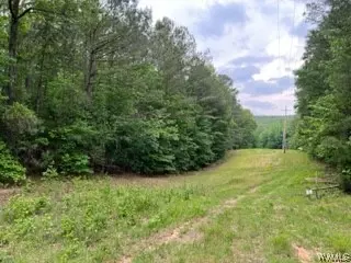 00 Brant Ward Rd, Cottondale, AL 35453