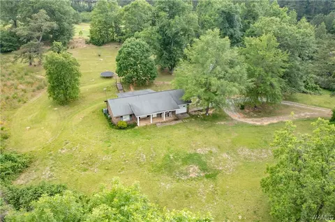 12258 Patton Place Spur, Coker, AL 35452