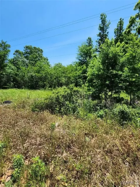 County Rd 21, Moundville, AL 36744