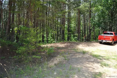 00 Pendley Rd, Berry, AL 35546