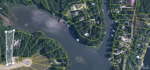 3 Rising Tide, Northport, AL 35475