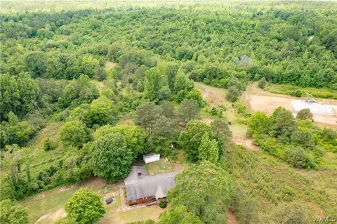 16294 Gainsville Rd, Ralph, AL 35480