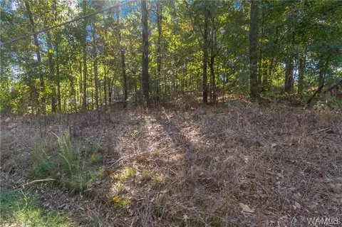 0 Brenda Dr, Lake View, AL 35111