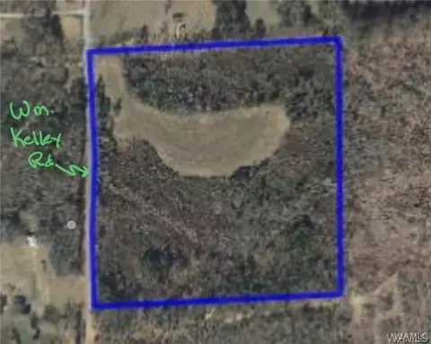 00 William Kelley Rd, Northport, AL 35475