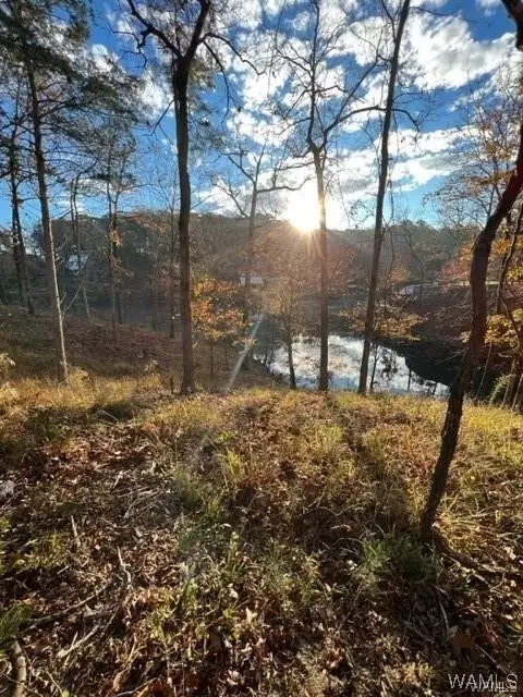 Lot 64 Highpoint Cove, Northport, AL 35475