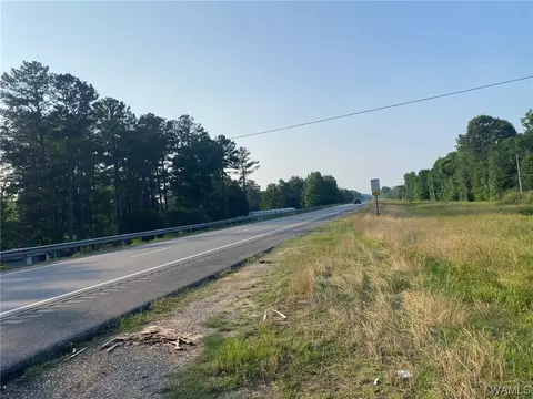 0 Hwy 43, Forkland, AL 36740