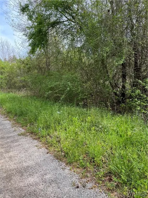 000 Hickory Ln, Moundville, AL 35474